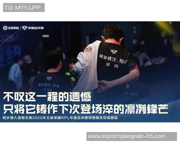 TES战队的奋斗历程与精英赛背后的坚持与荣耀